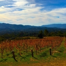 Four Brix Winery - Wineries