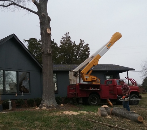 A & LTree service - Hartsville, TN