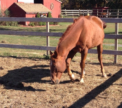 Hidden Pond Stables - Manorville, NY