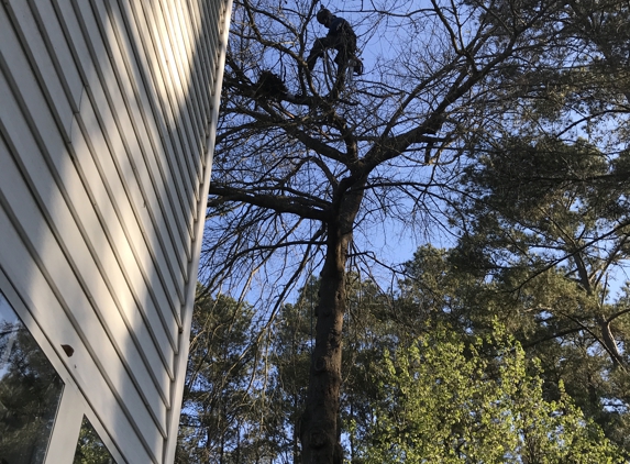 Eben Grays Tree Service - Appling, GA