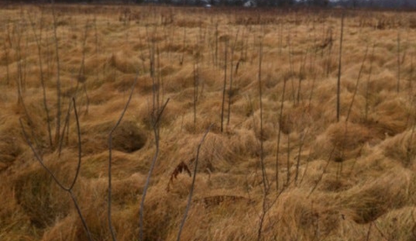 Prairie Oaks - West Jefferson, OH