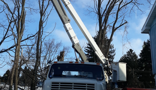 Davis Tree Services