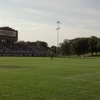 Elizabeth Lyle Robbie Stadium gallery