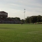 Elizabeth Lyle Robbie Stadium