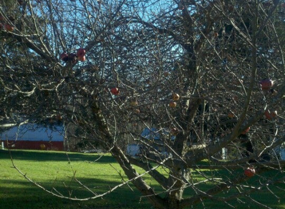 Ritter's Cider Mill - Jefferson Township, PA