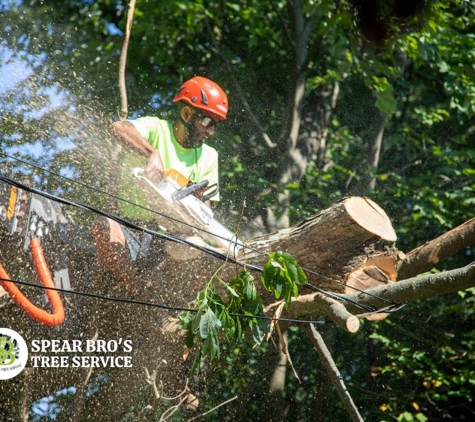 Spear Bro’s Tree Service - Bristol, CT