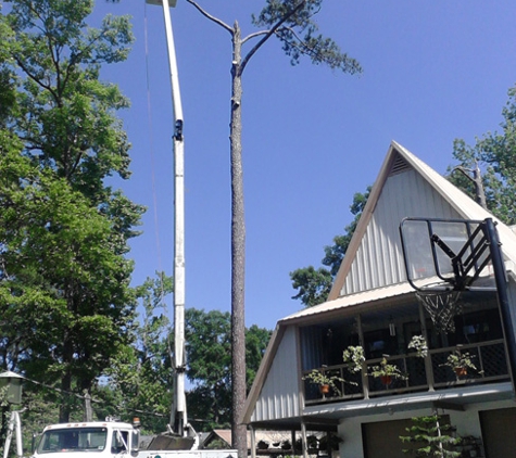 Singletary Tree Service. Tree Removal in Slidell