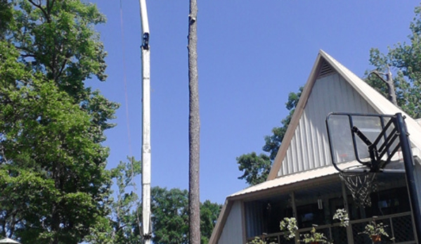 Singletary Tree Service. Tree Removal in Slidell