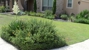 Anointed Urban Development LLC - Landscape Designers & Consultants