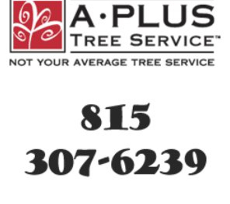 A Plus Tree Service