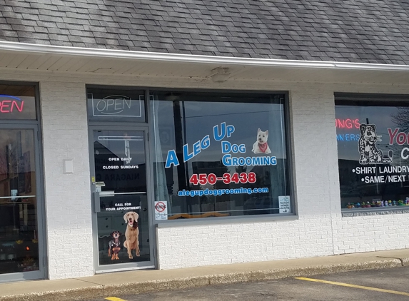 A Leg Up Dog Grooming - Erie, PA