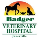 Badger Veterinary Hospital Janesville - Pet Services