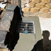 Gallery Image Number 5