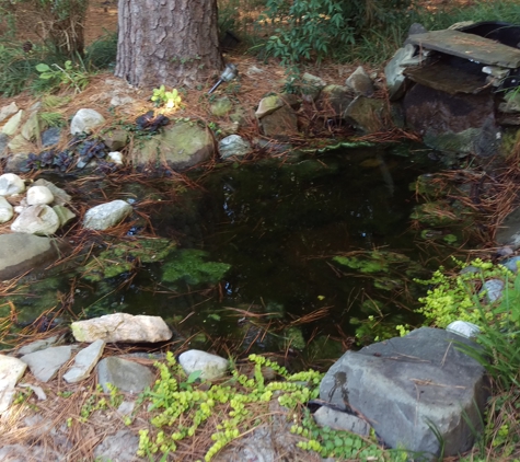 Allclear Pond Management - Raleigh, NC