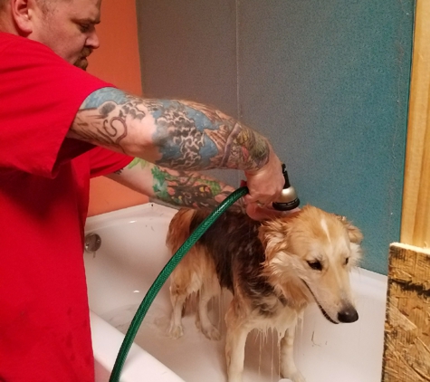 JT'S PLAYFUL PET SPA-SALON - Norfolk, VA