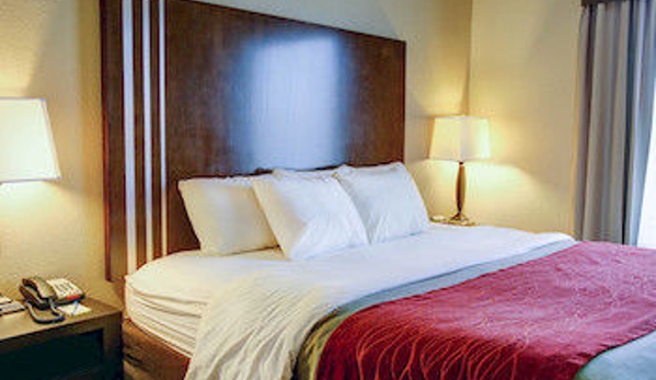 Comfort Inn & Suites - Navasota, TX