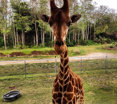 Lion Country Safari - Loxahatchee, FL