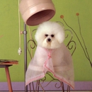 Hoity Toity Salon Spa - Dog & Cat Grooming & Supplies