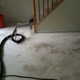 Tulip Carpet Cleaning Eldersburg