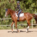 Allegro Equestrian - Horse Boarding
