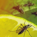 Mosquito Enemy - Pest Control Equipment & Supplies