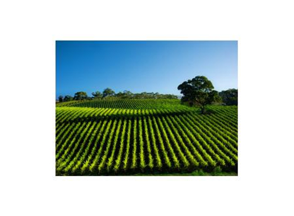 Victoria Coaches - North Melbourne, VIC