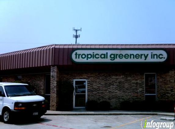 Tropical Greenery - Fort Worth, TX