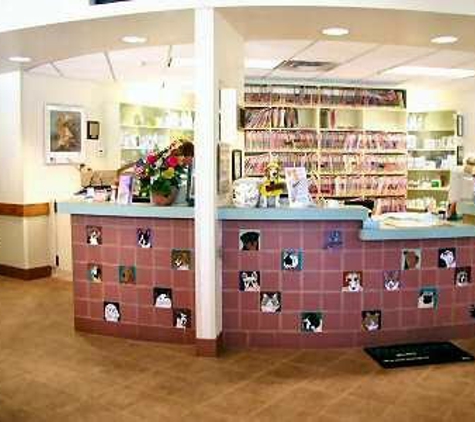 Bayshore Veterinary Clinic - North Miami Beach, FL