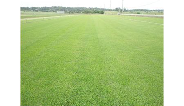 Award Turf Supplies - Freemans Reach, NSW. A view of our Farm!
