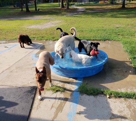 Dogs Best Friend - Columbia, SC