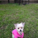 It's A Dog's World K-9 Academy, Inc. - Pet Services