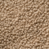 The Beast Carpet Cleaning & Services gallery