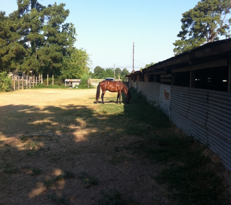 Rockin 4L Stables - Cypress, TX