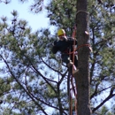 Arbor Quality Tree LLC - Tree Service