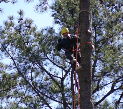 Arbor Quality Tree LLC - Raleigh, NC