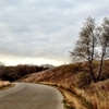 Camden State Park gallery