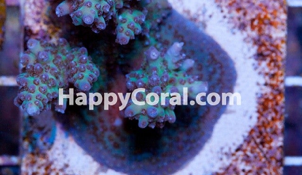 Happy Coral Inc. - Sturgis, MI