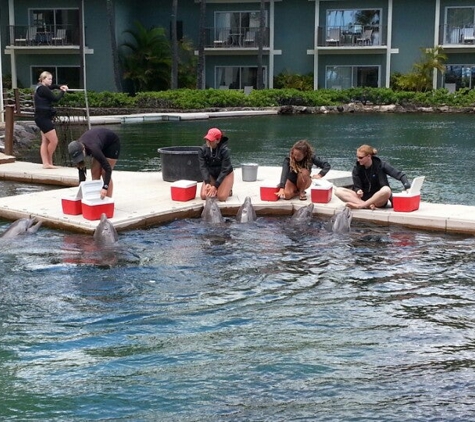 Dolphin Quest Oahu - Honolulu, HI