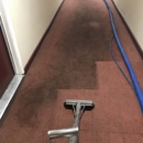 Adrian & Sons Carpet & Upholstery Cleaning - Mold Remediation