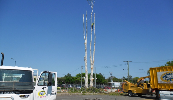 Treebiz Tree Services
