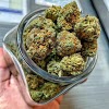 Weedconnect Online Dispensary Recreational gallery