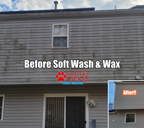 GUTTERDOGS Affordable Soft Power Washing & Safe Roof Cleaning Maryland - District Heights, MD