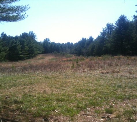 Myles Standish State Forest - Carver, MA