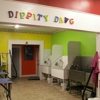 DIPPITY DAWG PROFESSIONAL AND MOBILE PET SALON gallery