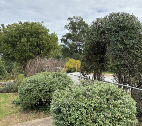 Leaf It To Us - Hedging, Mowing And Garden Maintenance - Wallagoot, NSW. Archway and bushes neatly cut