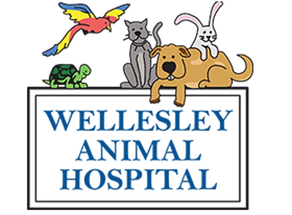 Wellesley Animal Hospital - Wellesley, MA