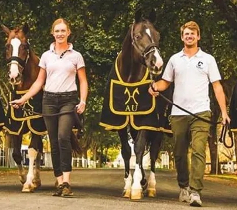 Stable 8 - Tuggerah, NSW