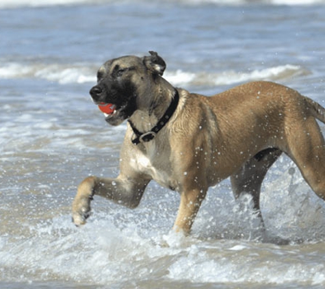 Peninsula Vet Care - Rosebud, VIC