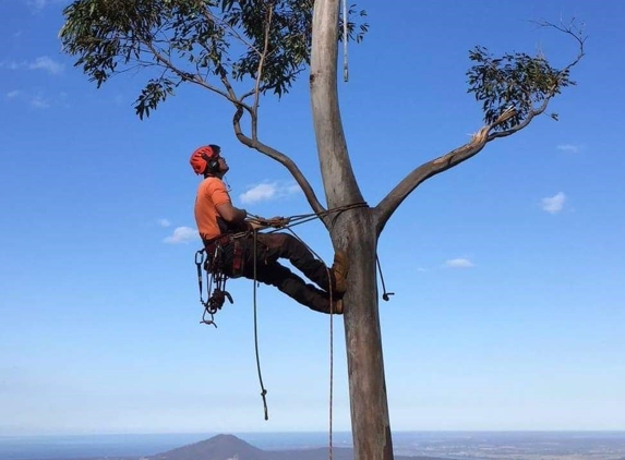 C & S Tree Services - North Nowra, NSW