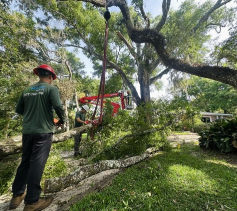 Magic Tree Service